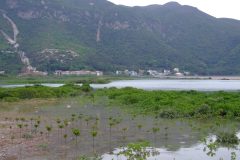 20090410-dscf3656-tai-o