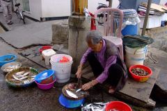 20090410-dscf3721-tai-o