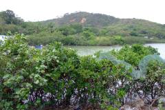 20090410-dscf4223-tai-o