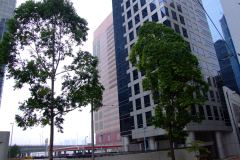 20090412-dscf4607-hong-kong
