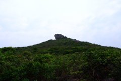 20090412-dscf5131-hong-kong