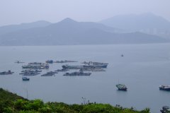 20090412-dscf5154-hong-kong