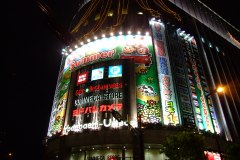 20090421-dscf8606-japan