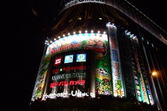20090421-dscf8607-japan