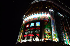 20090421-dscf8611-japan