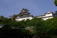 20090422-dscf8796-japan