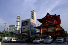 20090422-dscf8947-japan