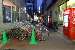 20090422-dscf9229-japan