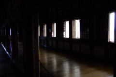 20090423-dscf9429-japan