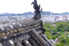 20090423-dscf9435-japan