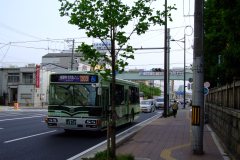 20090424-dscfa354-japan