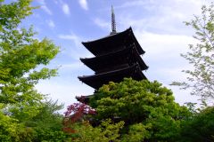 20090424-dscfa494-japan