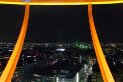 20090424-dscfa784-japan