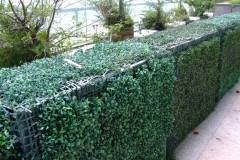 20090427-dscf1730-hong-kong