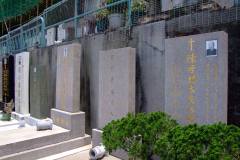 20090428-dscf2084-hong-kong