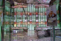 20090428-dscf2195-hong-kong