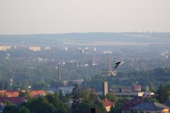 20100701-dscf3796-pecs