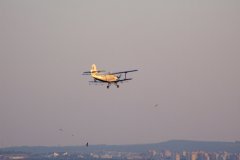 20100701-dscf3827-pecs