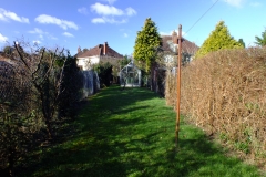 2012-02-27 Hill Lane sales photo