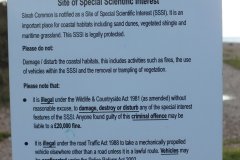 20121108-dscf2419-ayyling-island