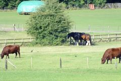 20130908-dscf8236-weald-and-downland