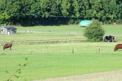 20130908-dscf8238-weald-and-downland