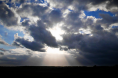 20150517-p1310449-new-forest-sunbeams-hd