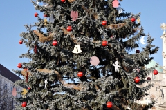 20151228-p1580952-pecs