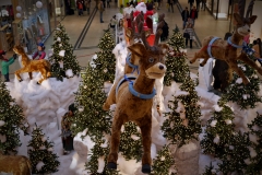 20151228-p1590032-pecs