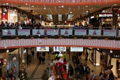 20151228-p1590035-pecs