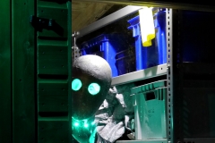 20161013-p1720625-shed-alien