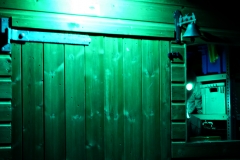 20161013-p1720631-shed-alien
