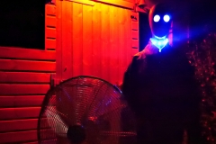 20161013-p1720790-shed-alien