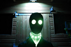20161013-p1720823-shed-alien