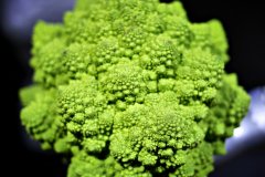2016-11-05 Alien food. - the romanesco - aided by some silver mannequins