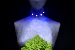 20161105-p1730495-romanesco