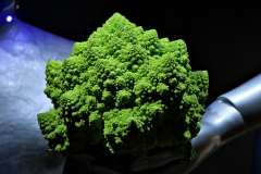 20161105-p1730559-romanesco