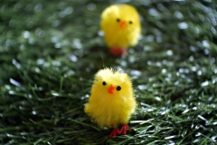 20170419-p1910106-easter-display