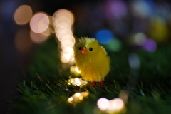 20170419-p1910137-easter-display