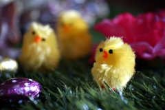 20170419-p1910144-easter-display