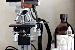 20170728-dscf6039-microscope