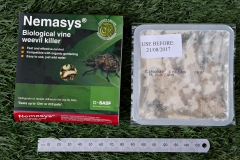 20170728-p1950507-nematodes-packet