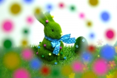 20180331t185247-dscf9353-easter-display