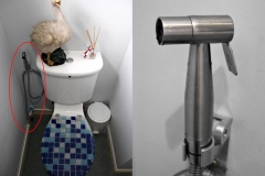 2018-08-26 11:34 shattaf