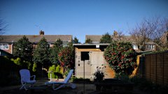 2020-03-24 Garden afternoon sun