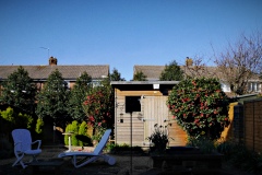 2020-03-24 Garden on first day of UK coronavirus lockdown