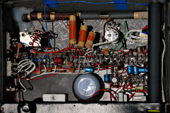 20200420-p2400145-roamer-ten