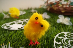 IMG_20210404_155058Z_Easter_chick