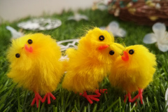 IMG_20210404_155143Z_Easter_chicks