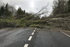 2022-02-19  Fallen tree on A34